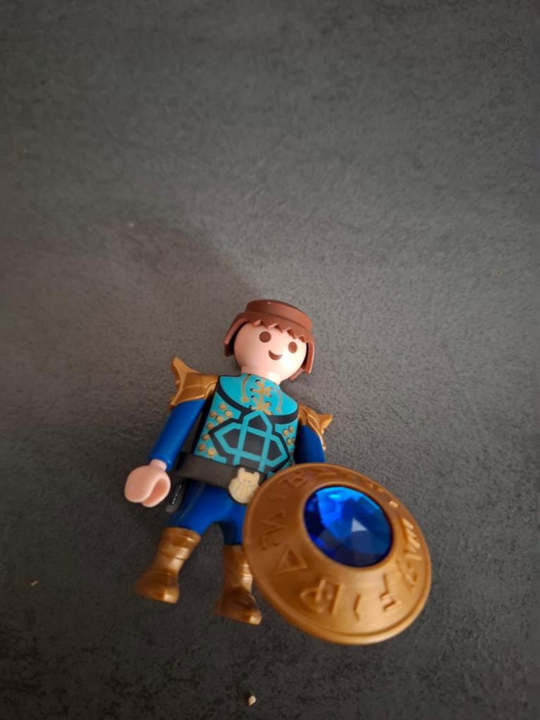 Playmobil prins Arwin, Ophalen of Verzenden