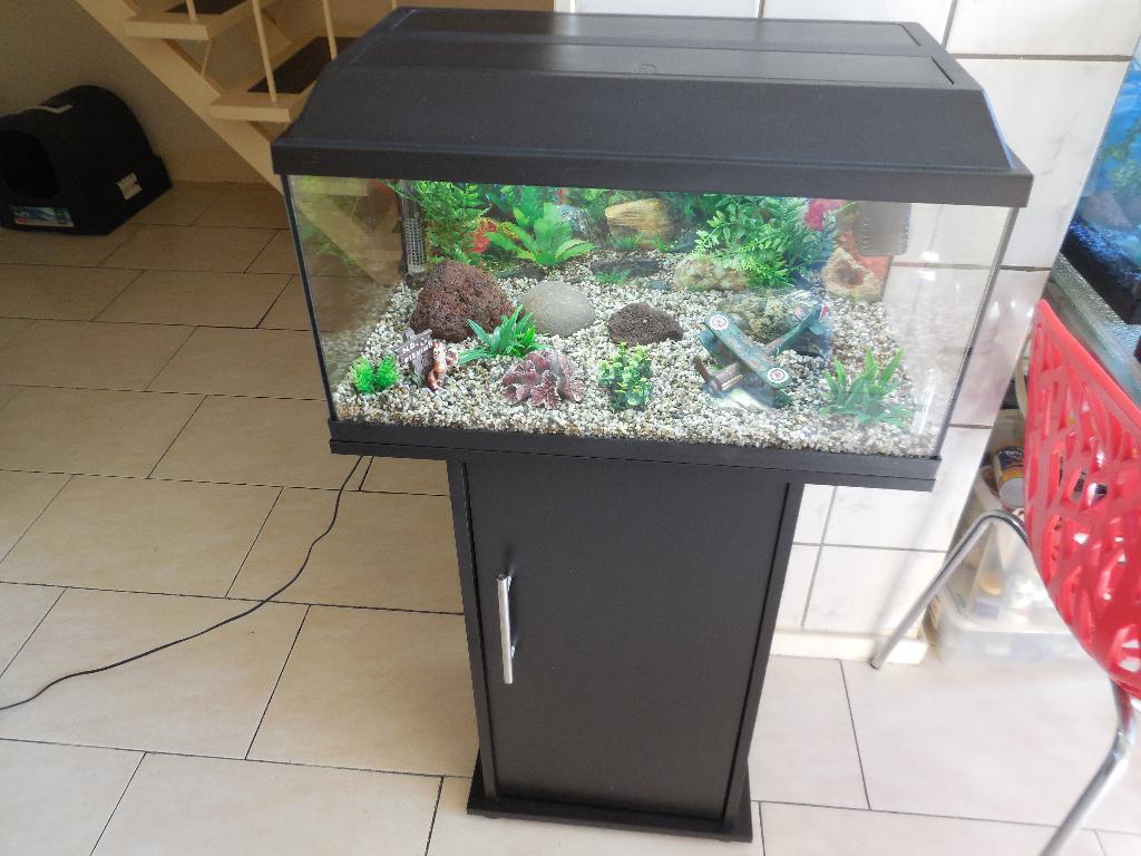 juwel 60 aquarium/kast combinatie compleet met toebehoren, Ophalen, Gebruikt, Leeg aquarium, Verwarming