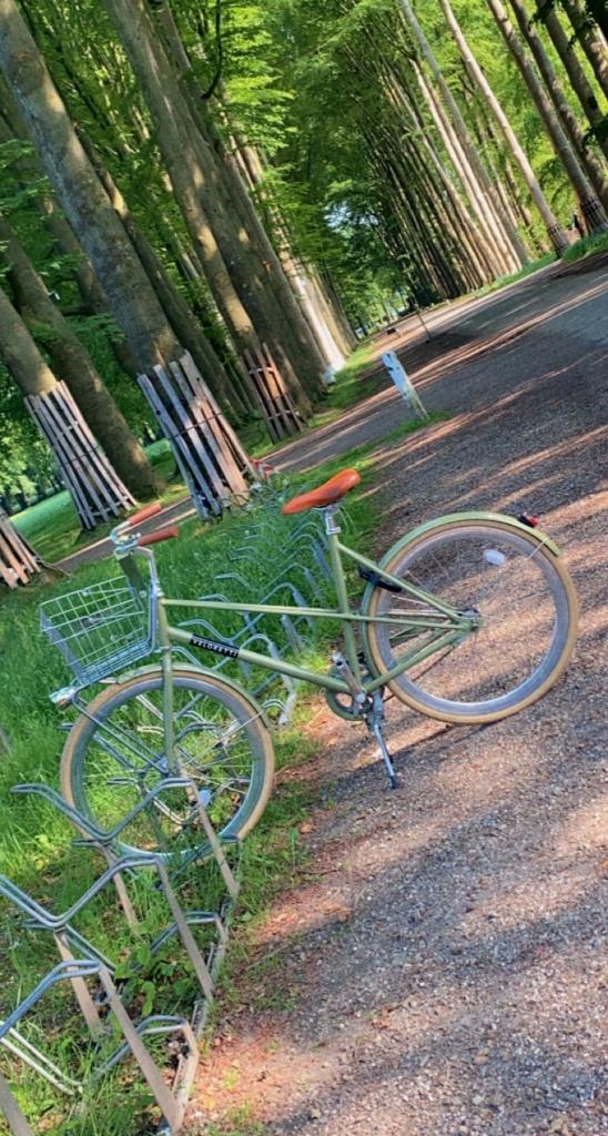 Veloretti damesfiets café racer desert moss, Terugtraprem, Zo goed als nieuw, 50 tot 53 cm, Ophalen