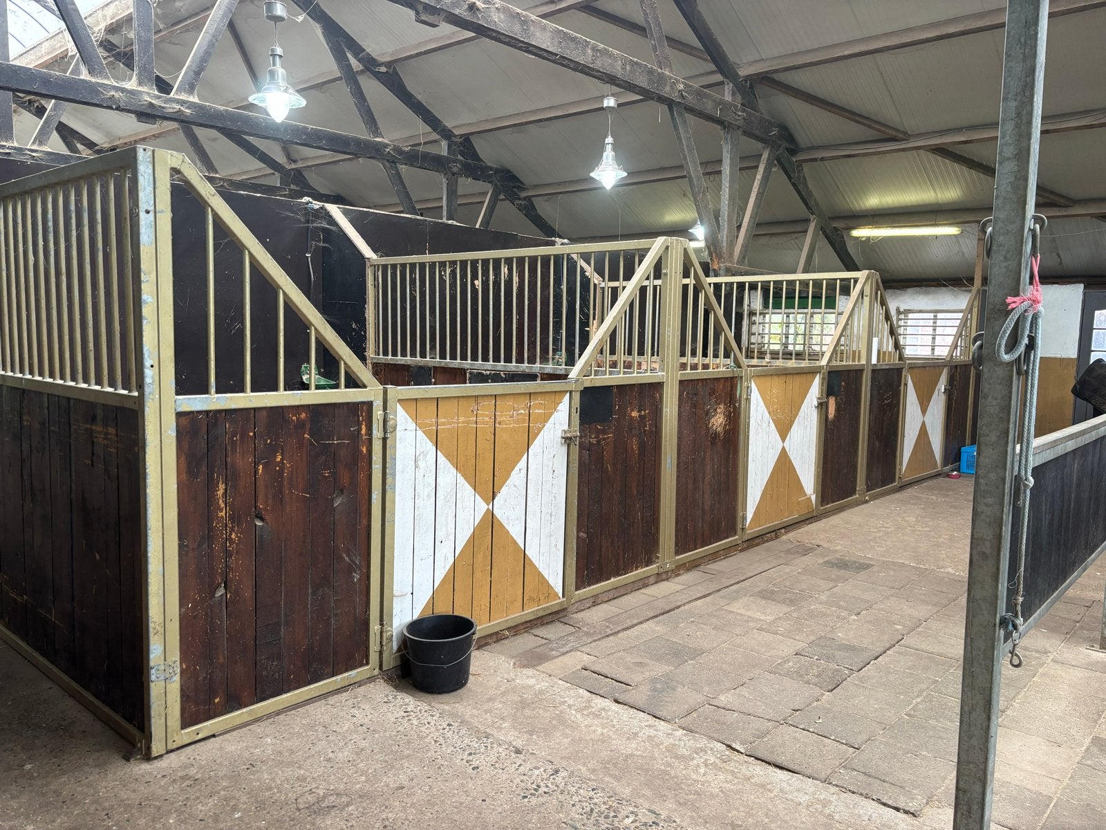 Paarden stallen boxen, Dieren en Toebehoren