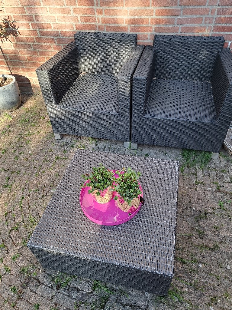 Wicker tuinset en tafel inclusief buitenkleed met 2 prents, Tuin en Terras, Tuinsets en Loungesets, Ophalen, Gebruikt, Wicker