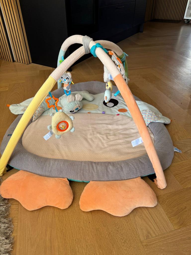 Speelkleed met baby gym, knuffel en hoes - Zo goed als nieuw, Ophalen of Verzenden, Zo goed als nieuw