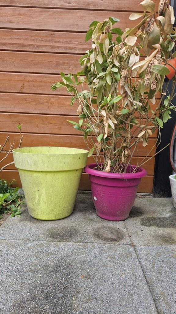 Twee grote bloempotten, Tuin en Terras, Ophalen, Kunststof, 40 cm of meer, Rond