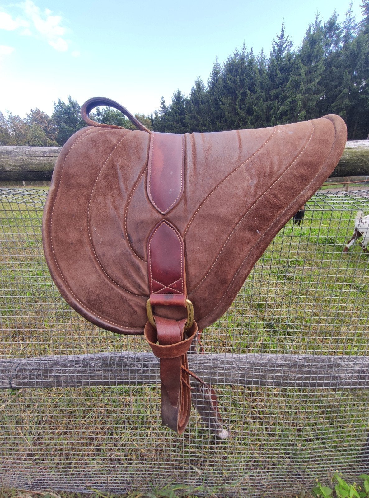 Foto 6 van barebackpad (Parelli) leer suede boven medisch vilt onder