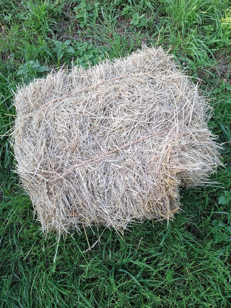 35 kleine baaltjes onverpakt hooi / kleine pakjes hooi, Dieren en Toebehoren, Ophalen, Vee