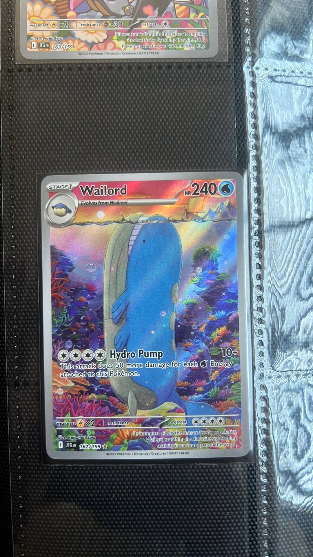 Wailord 162/159 JTG, Ophalen of Verzenden, Nieuw