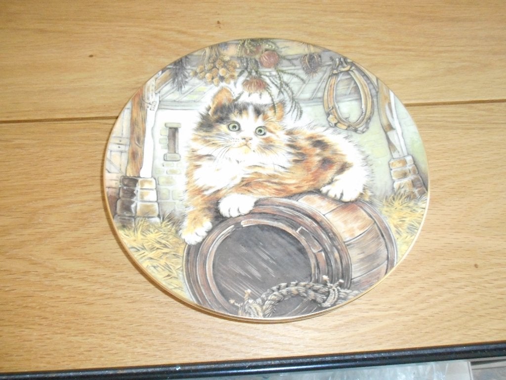 katten borden, Ophalen, Nieuw