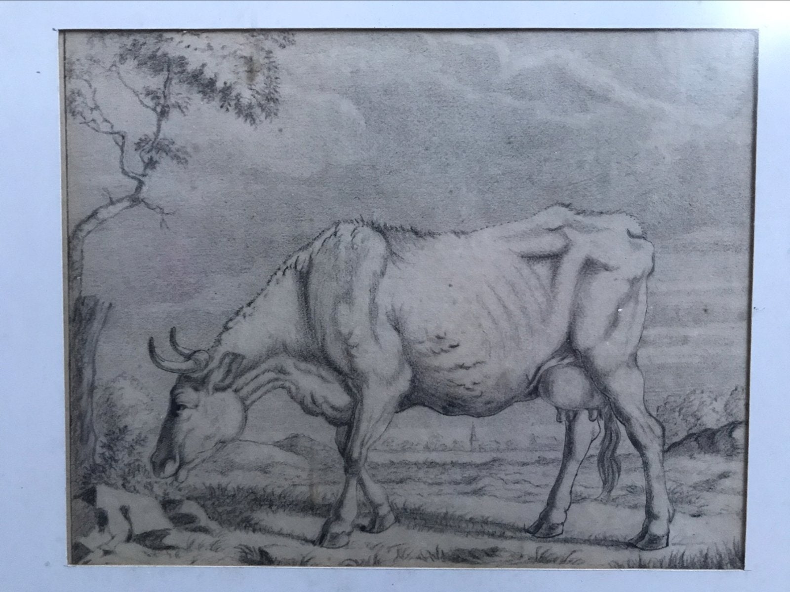 Prent / afbeelding koe (rund, melkkoe) 1e helft 19e eeuw, Ophalen of Verzenden