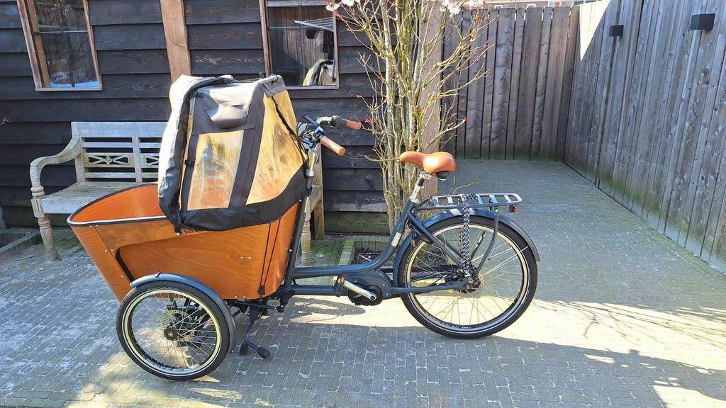 Elektrische Carve Mountain (nieuwprijs €5399), Ophalen of Verzenden, Zo goed als nieuw, 4 kinderen of meer, Elektrisch