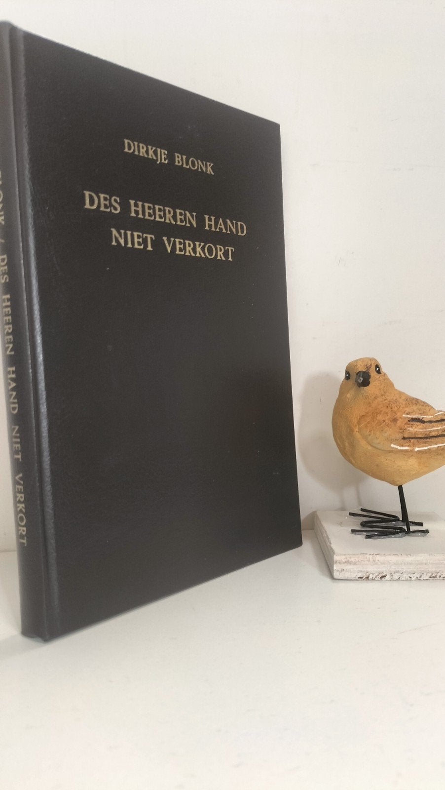 Blonk, Dirkje;  Des Heeren hand niet verkort, Ophalen of Verzenden, Gelezen, Christendom | Protestants