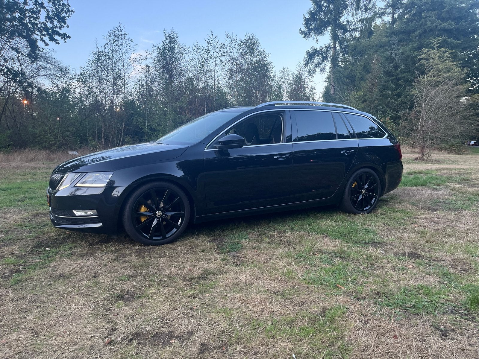 Skoda Octavia 1.0 TSI 115pk 2018 Zwart, Auto's, Stof, 620 kg, Zwart, Origineel Nederlands