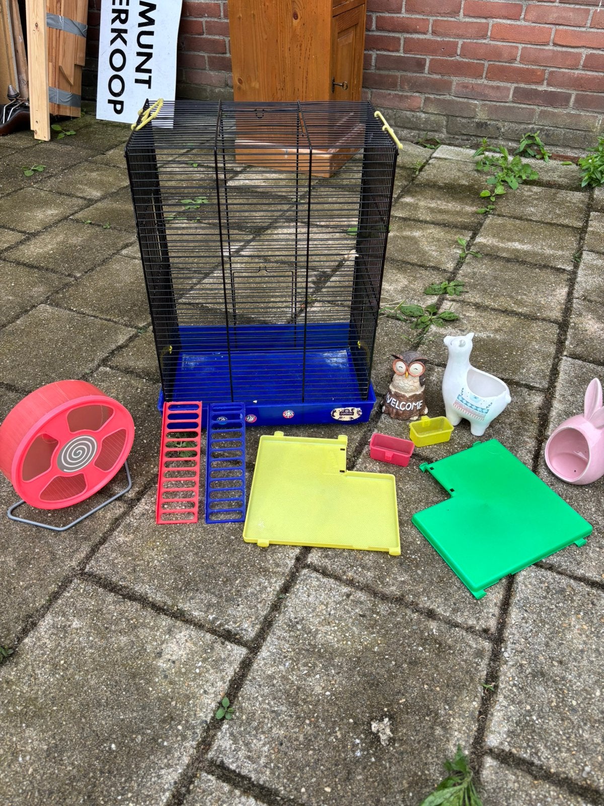 Hamsterkooi met accessoires, Kooi, Minder dan 75 cm, Zo goed als nieuw, Hamster