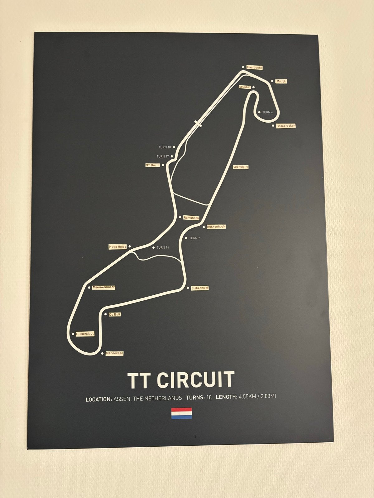 Stalen schilderij TT Circuit Assen Displate, 50 – 75, Minder dan 50 cm, Ophalen of Verzenden, Zo goed als nieuw