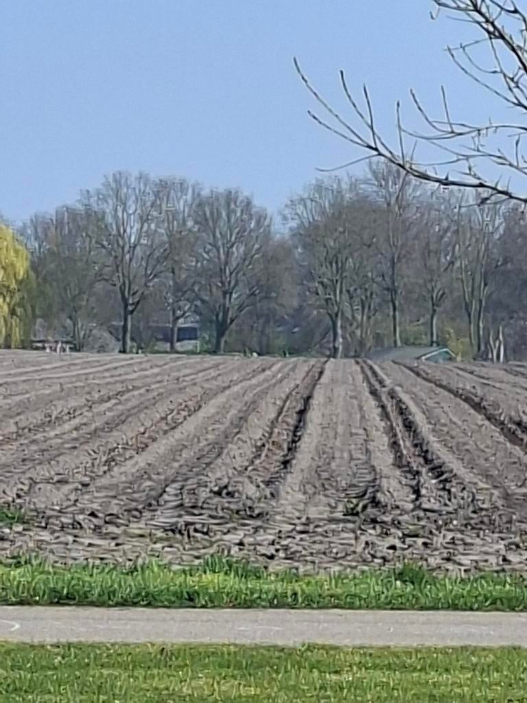 Gratis zwarte grond afvoeren, Tuin en Terras, Aarde en Mest, Ophalen of Verzenden, Tuinaarde