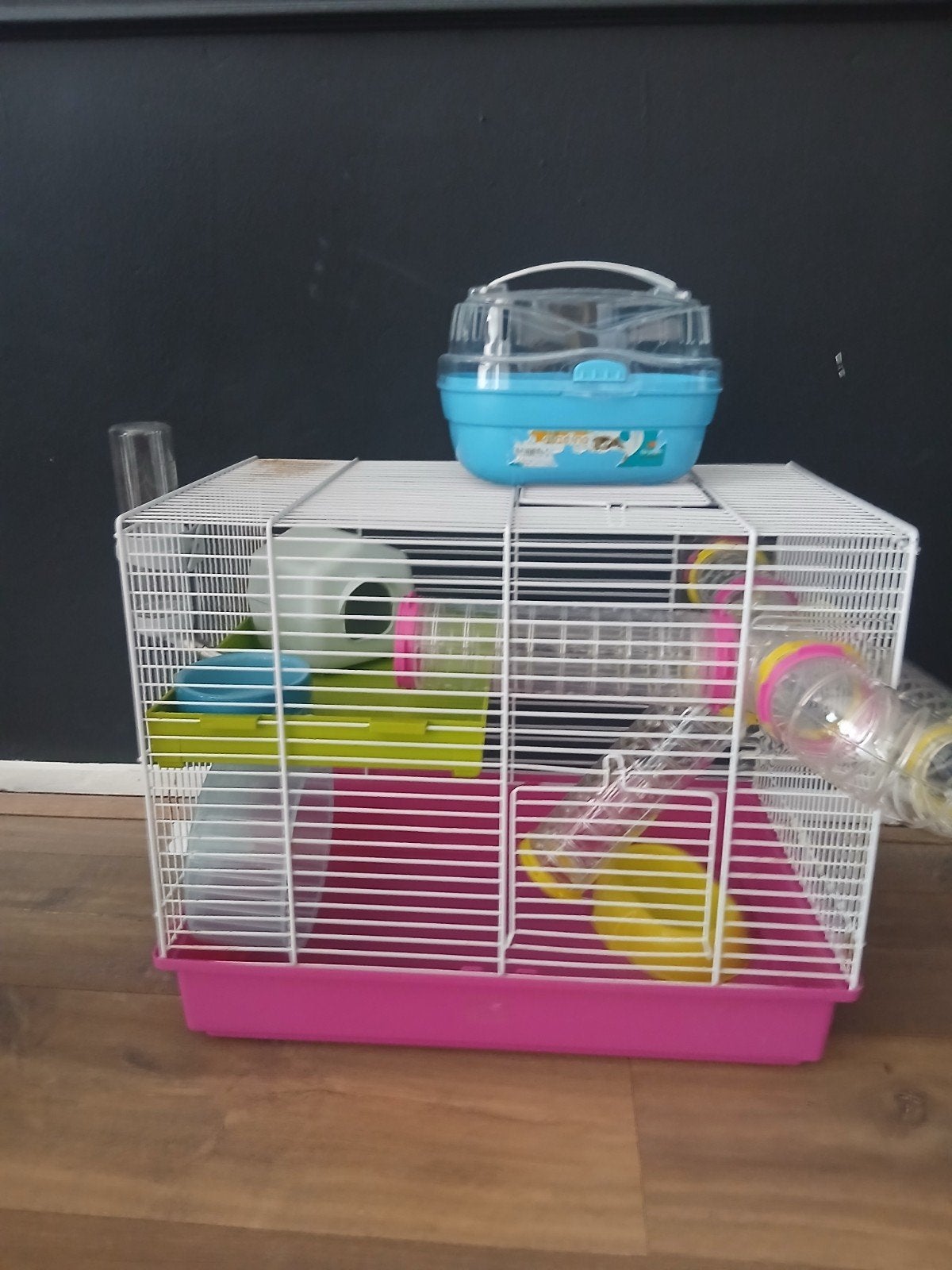 kooi, Ophalen, Zo goed als nieuw, Kooi, Minder dan 60 cm