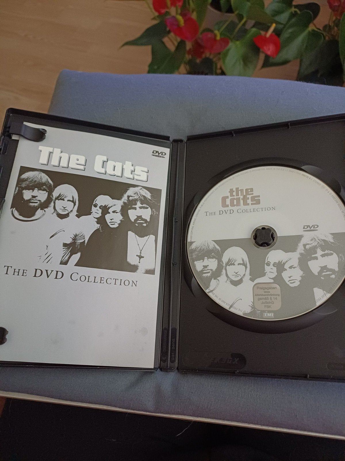 the cats dvd, Alle leeftijden, Ophalen of Verzenden, Gebruikt, Overige genres