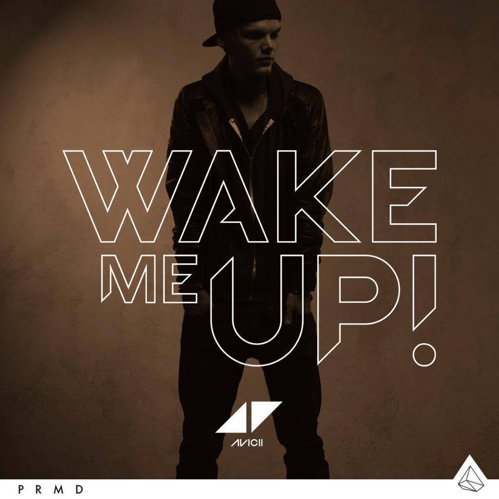 Avicii - Wake Me Up (NIEUW), Ophalen of Verzenden, Nieuw in verpakking, Overige genres