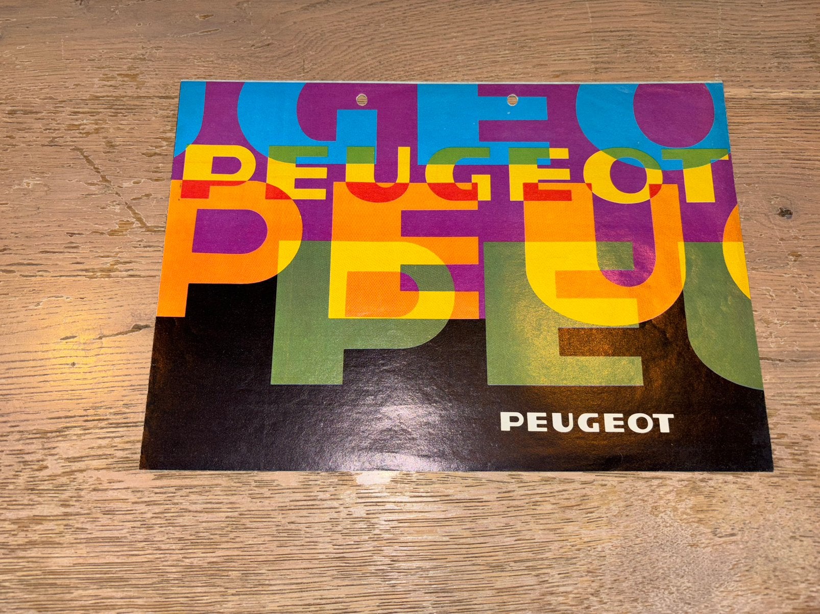 Folder Peugeot programma 1979 (oa 304, 504, 604), Ophalen of Verzenden