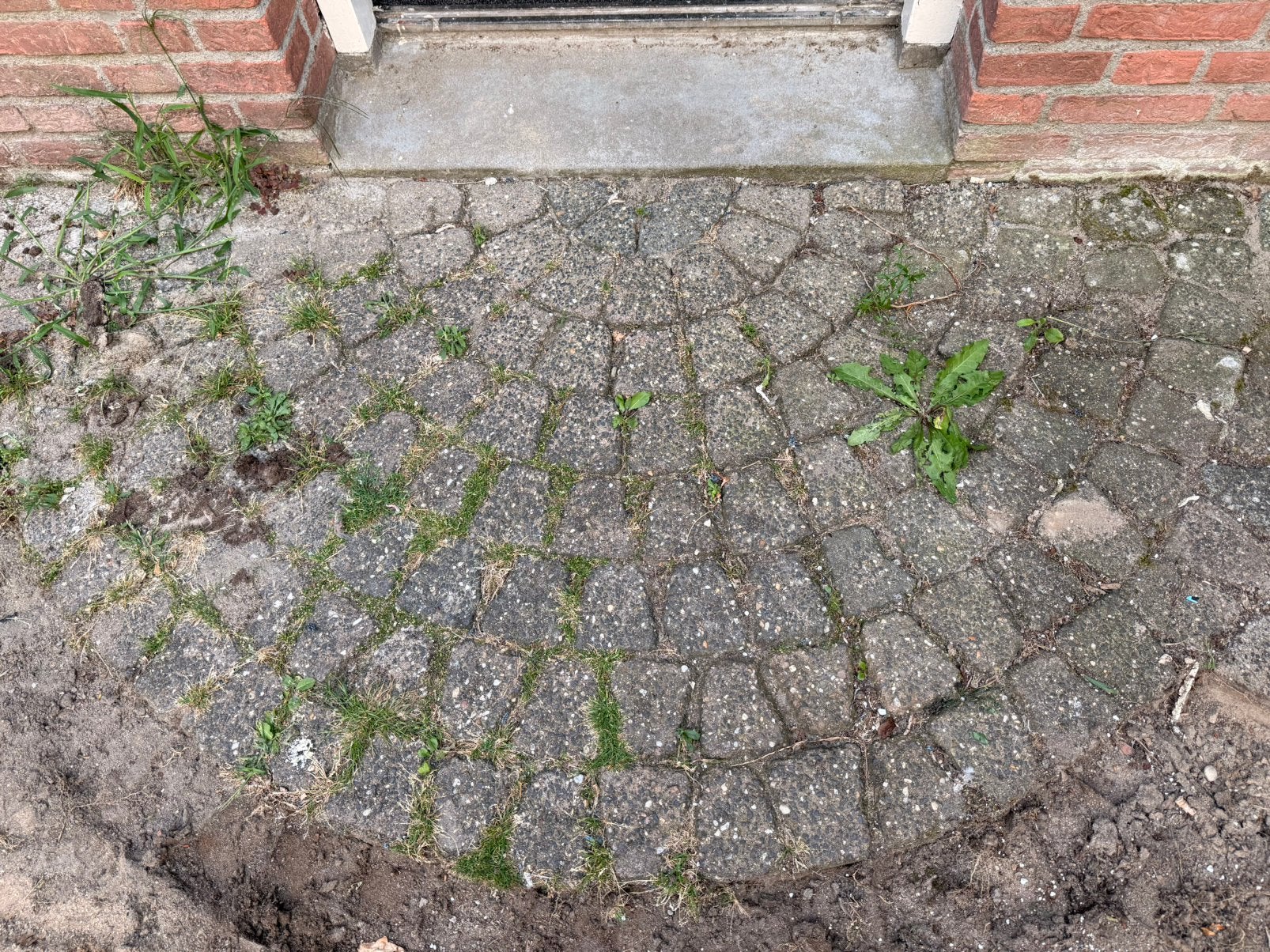 Kinderkopjes Gratis!, Tuin en Terras, Tegels en Klinkers, Ophalen, Zo goed als nieuw, Beton, Klinkers