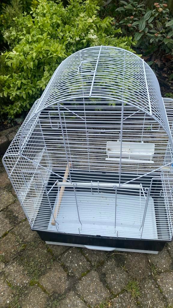 Vogel lopertjes en huiskamer kooi nieuw, Ophalen of Verzenden, Nieuw, Metaal, Vogelkooi