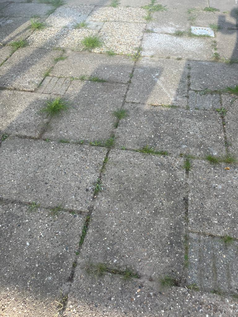 GRATIS tegels 60x40, Tuin en Terras, Tegels en Klinkers, Ophalen, Zo goed als nieuw, Beton, Terrastegels