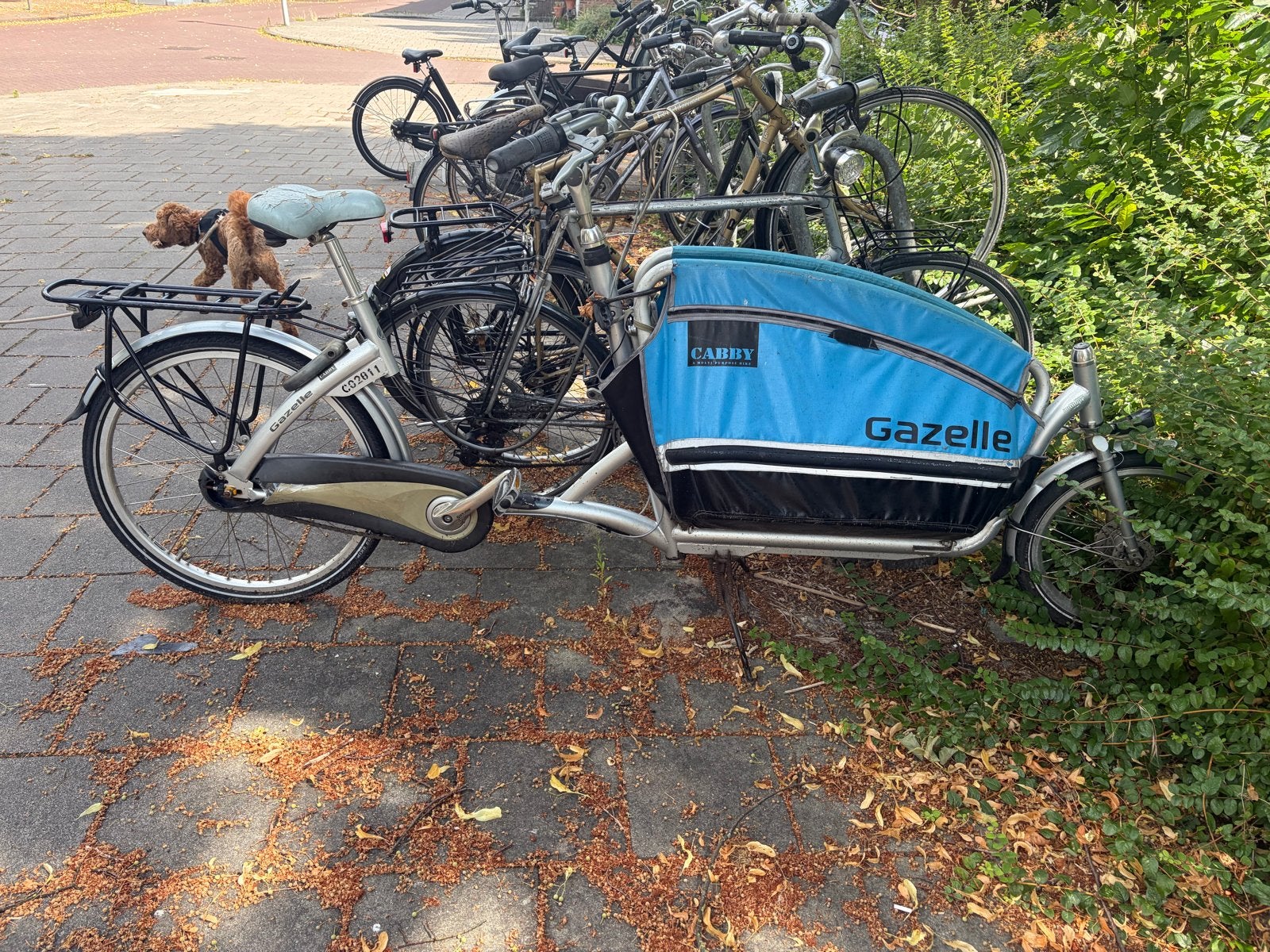 Gazelle Cabby bakfiets - Gebruikt maar functioneel, Fietsen en Brommers, Fietsen | Bakfietsen, Ophalen, Gebruikt, Goederen, Opvouwbaar