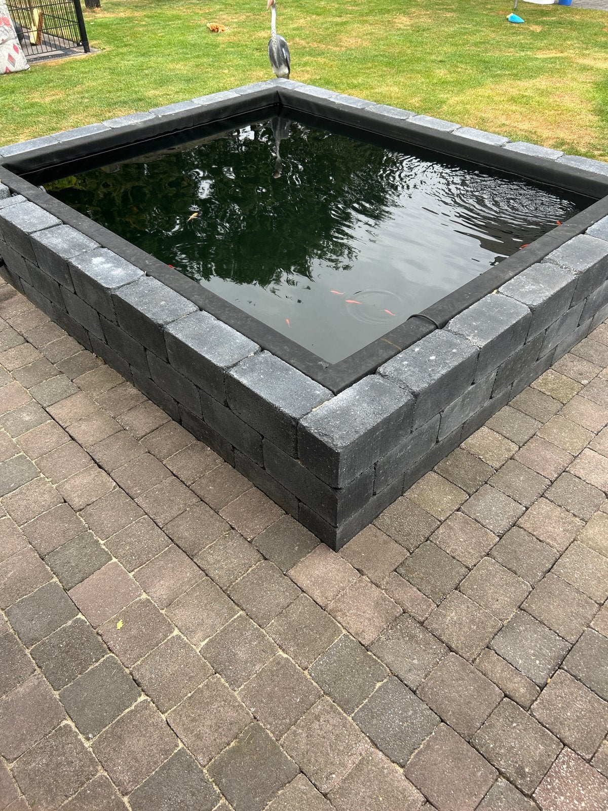 Nieuwe EPDM vijverfolie op maat (nieuwe zit in de doos), Ophalen, Nieuw