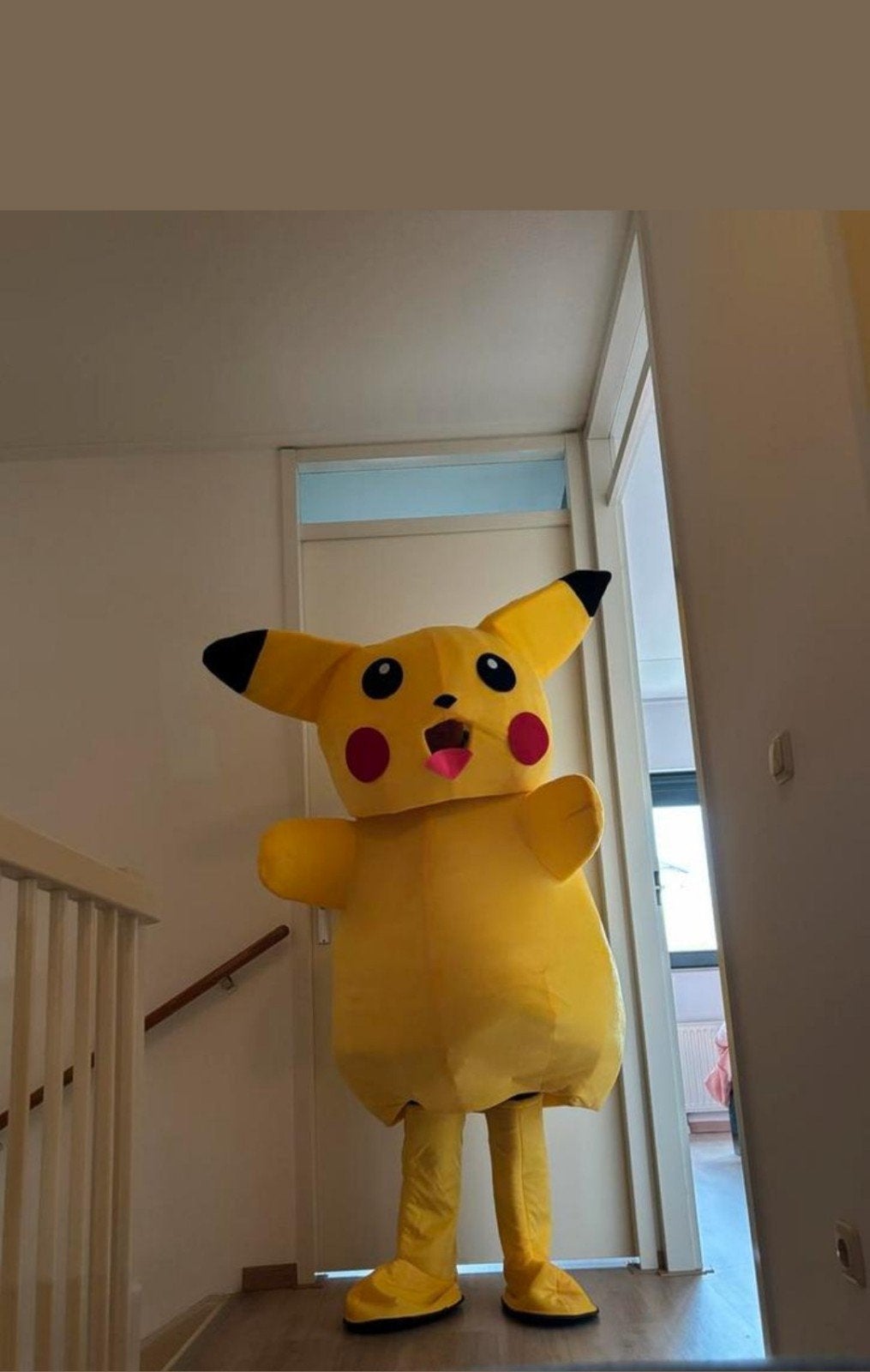 Pikachu mascotte pak huren of kopen - Feestjes & Events, Ophalen of Verzenden, Zo goed als nieuw, Pak of Jurk