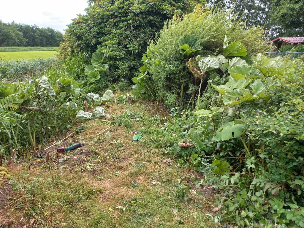 Tuinvrouw biedt zich aan ( Friesland, Drenthe, Overijssel), Diensten en Vakmensen, Tuinmannen en Stratenmakers
