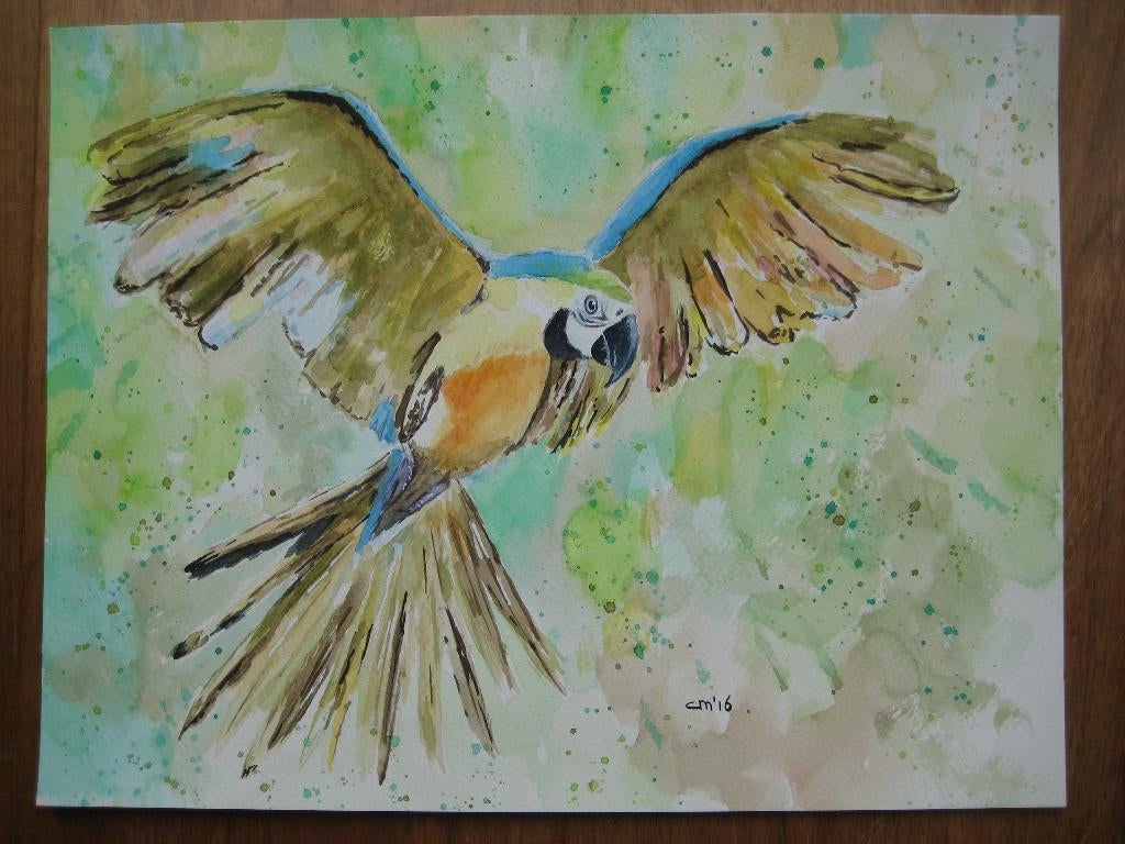 Aquarel Blauwgele ara 35 x 27 cm, Ophalen, Minder dan 50 cm, Oorspronkelijke maker, Nieuw