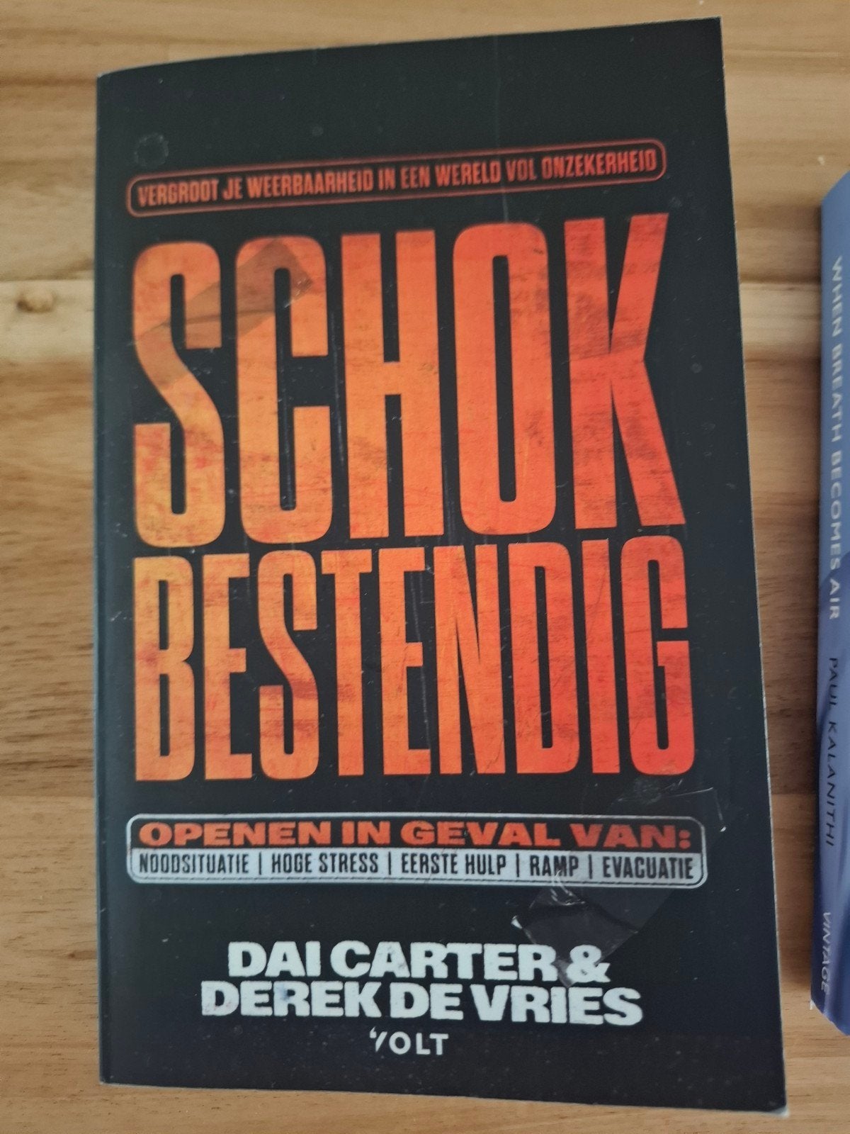 Schokbestendig - Dai Carter & Derek de Vries, Ophalen of Verzenden, Nieuw, Dai Carter & Derek de Vries