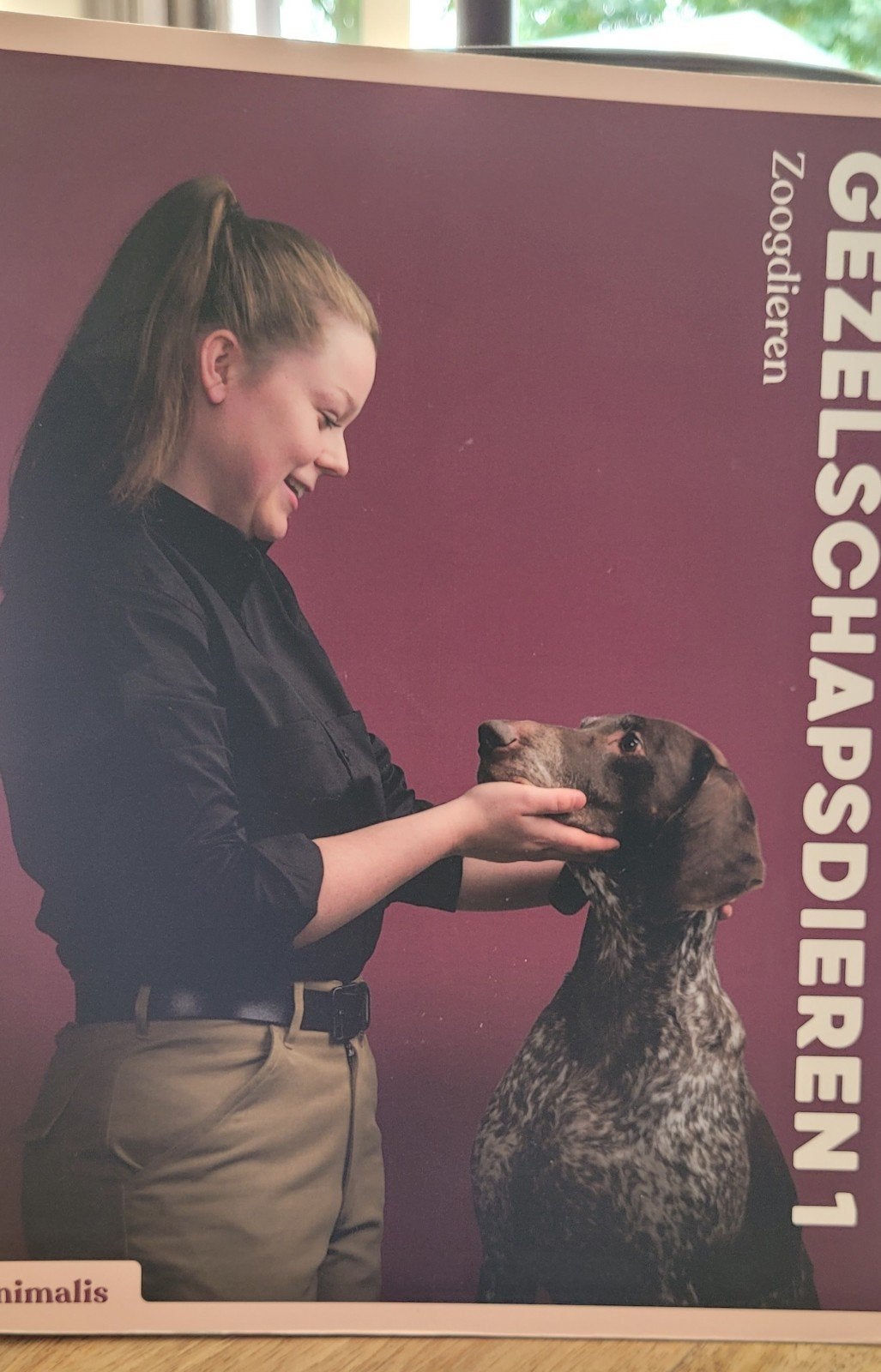 Schoolboeken, Ophalen, Zo goed als nieuw, Rick Palte & Michel van der Plas, Beta