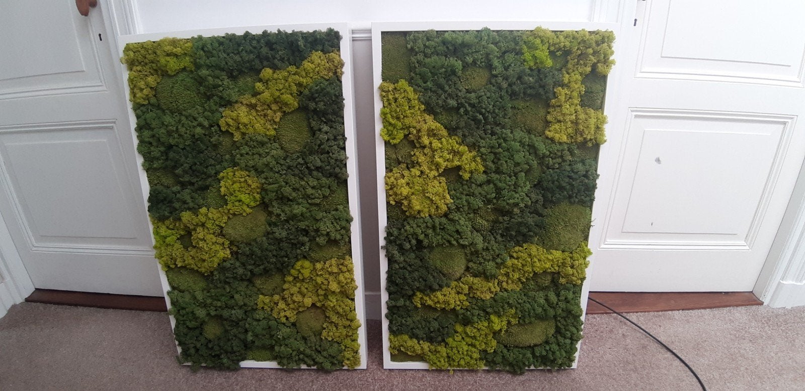 2 Mos Schilderijen 60x100cm met witte Lijst, Ophalen, Schilderij, Hout, 100 cm