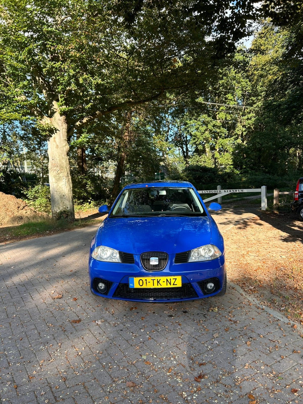 Seat Ibiza 1.4 16V 74KW 2006 Blauw, Auto's, Voorwielaandrijving, 15 km/l, 40 €/maand, 4 cilinders