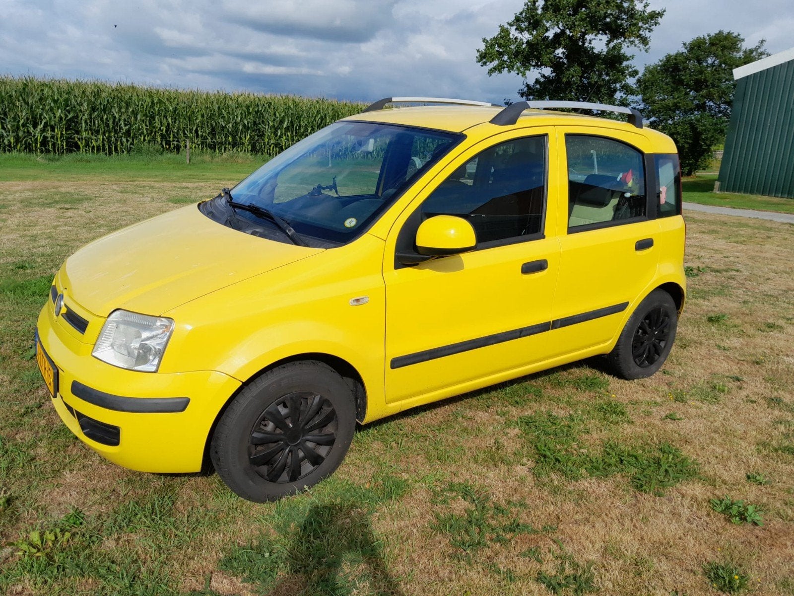 Fiat Panda 1.2 2010 Geel, Auto's, Fiat, 1242 cc, Handgeschakeld, Particulier, 69 pk