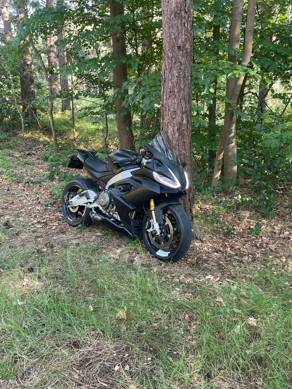 DIKSTE APRILIA RS660 2024, 2 cilinders, Motorrijbewijs A, Super Sport, Particulier
