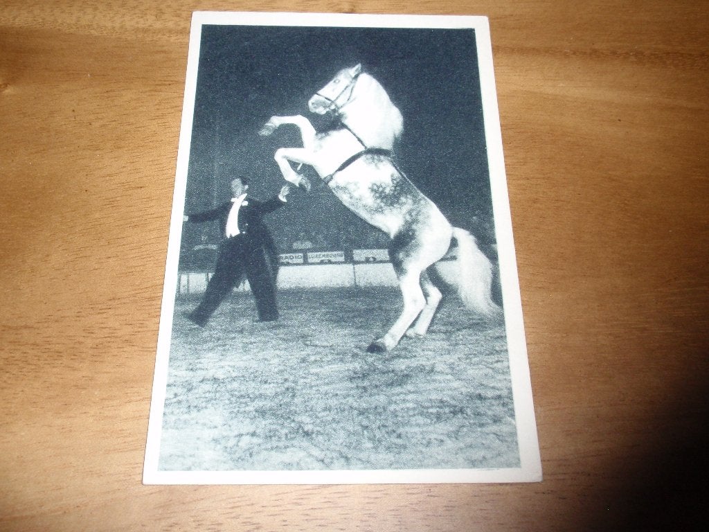 Radio Circus paard en trainer, Ophalen of Verzenden, 1920 tot 1940, Gelopen, Cultuur en Media