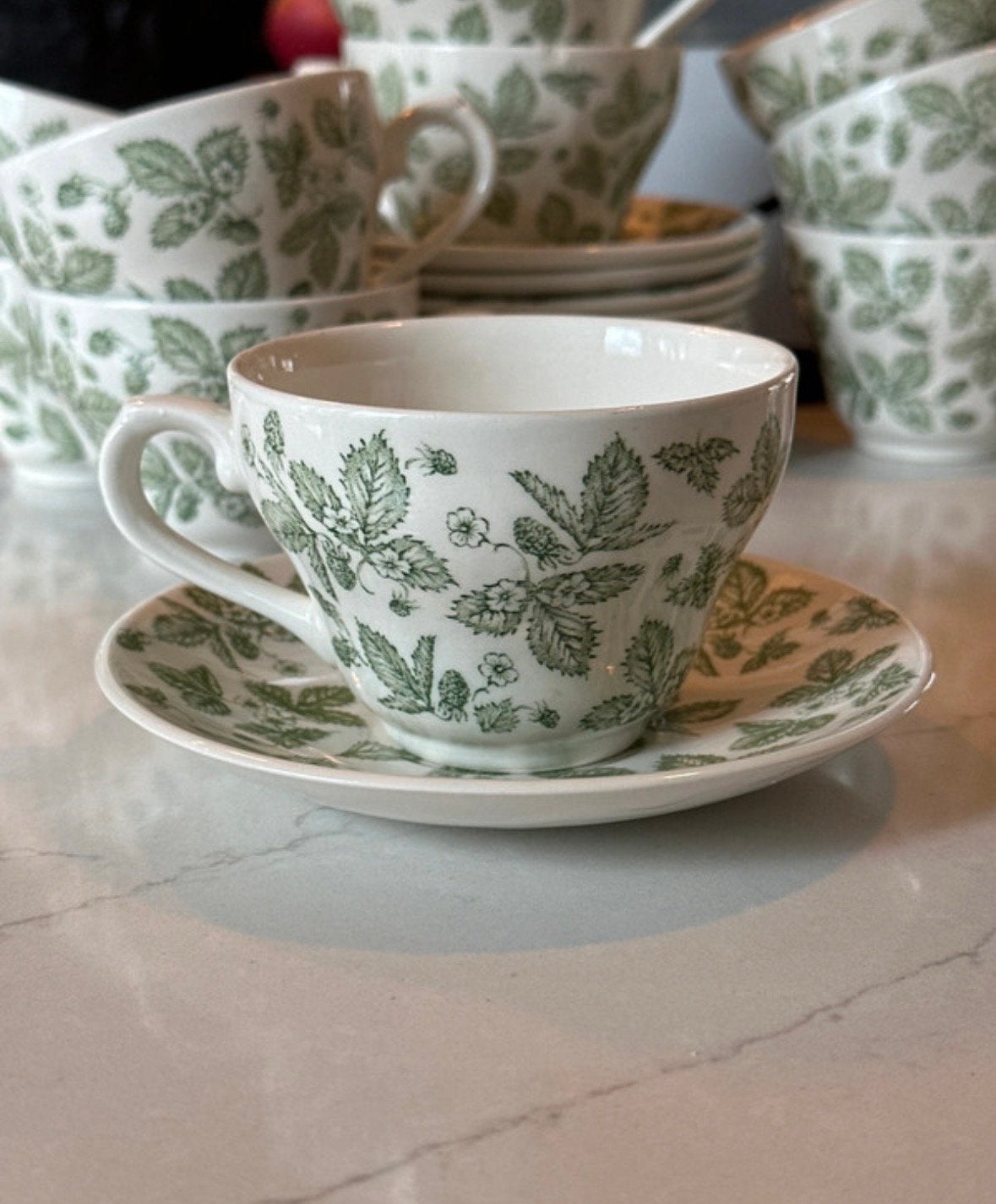 Churchill England Ivy Green Kopjes en Schoteltjes Set, Verzenden