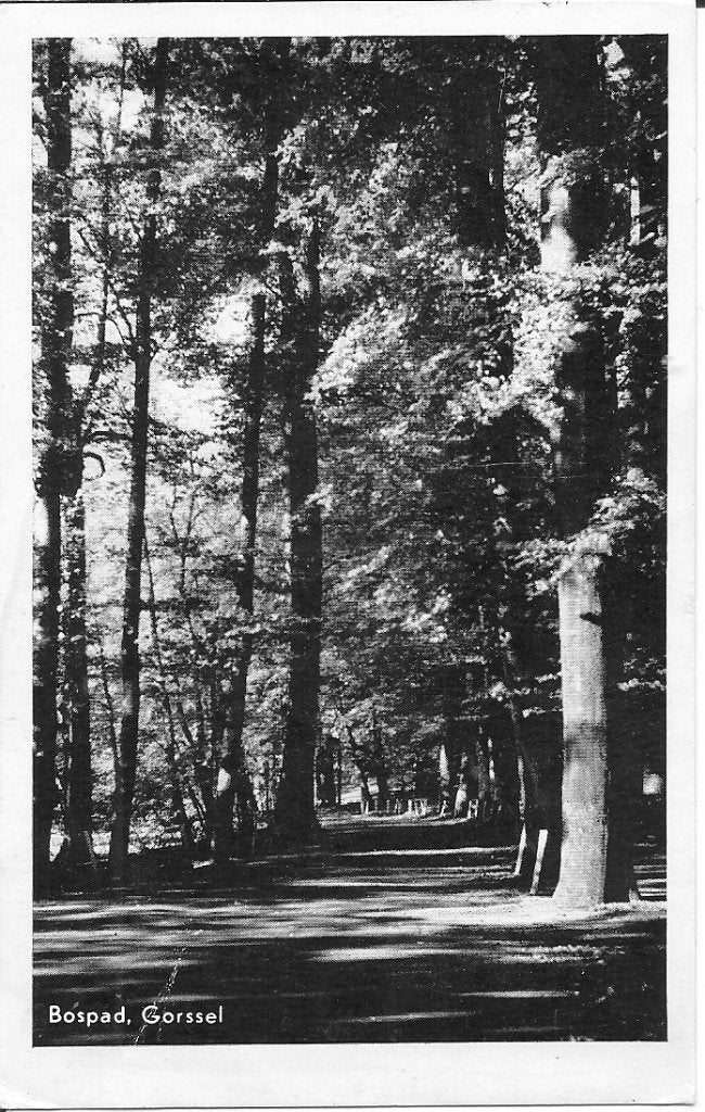 Oude ansichtkaart Bospad, Gorssel (Gelderland), Verzamelen, Ansichtkaarten | Nederland, Ophalen of Verzenden, 1960 tot 1980, Gelopen