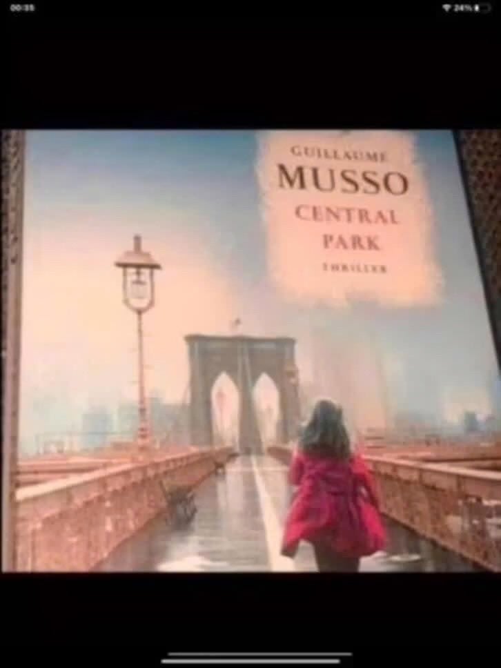 Central Park - Guillaume Musso (Thriller), Gelezen, Europa overig, Ophalen of Verzenden, Guillaume Musso