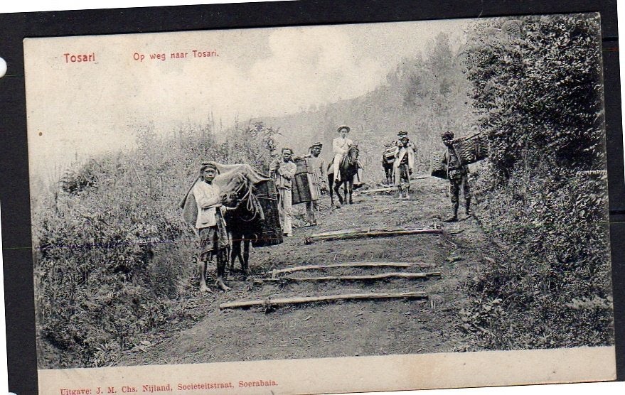 Ned Indië Tosari: in the road 1910 to Sonneville Maastricht, Verzamelen, Ophalen, Voor 1920, Buiten Europa