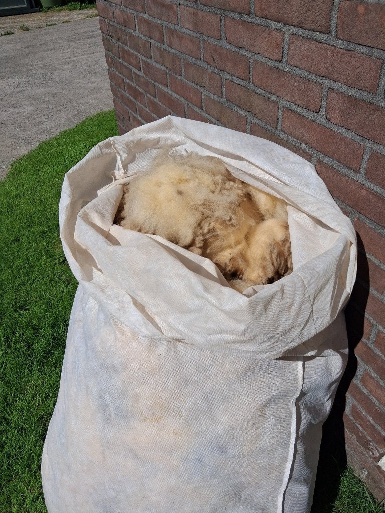 Schapenwol wit, Hobby en Vrije tijd, Ophalen, Spinwol