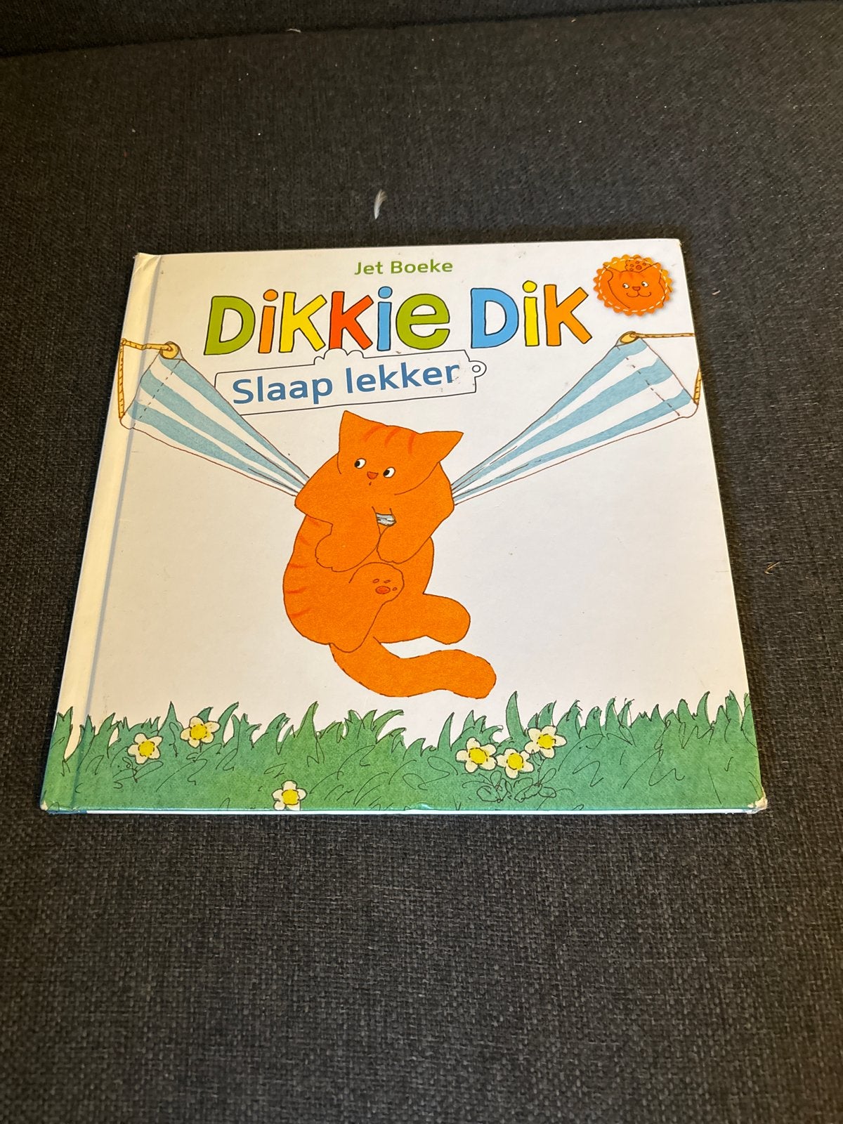 Dikkie Dik Slaap Lekker - Jet Boeke, Boeken, Ophalen of Verzenden, Gelezen, 2 tot 3 jaar
