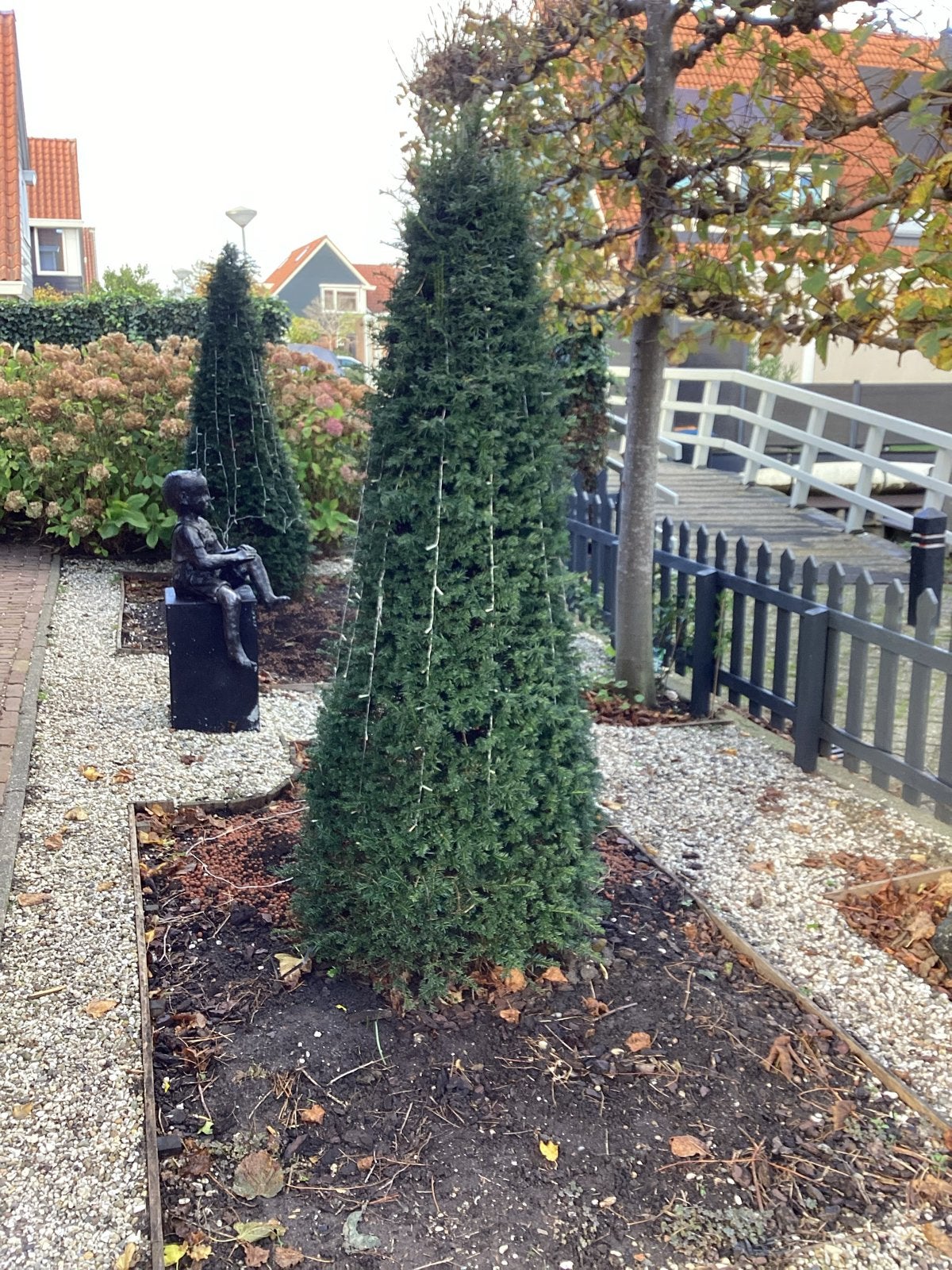 2 mooie gezonde Taxus zuilen  ruim 2 meter 80cm breed, Ophalen, Halfschaduw, 100 tot 250 cm, Zomer