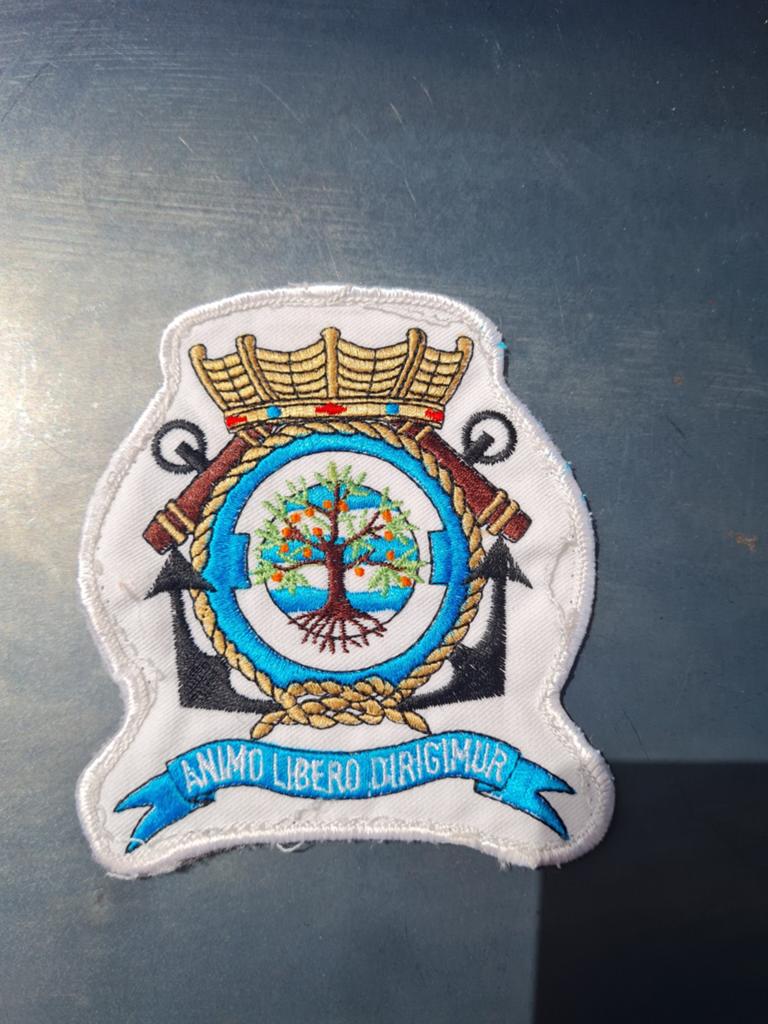 Militair Luchtvaart Embleem/Badge - 'Animo Libero Dirigimur', Verzamelen, Ophalen of Verzenden, Luchtmacht, Embleem of Badge