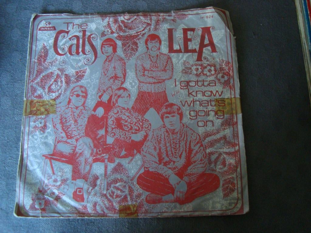 The cats - lea, Cd's en Dvd's, Vinyl Singles, Ophalen of Verzenden, Zo goed als nieuw, Pop, Single