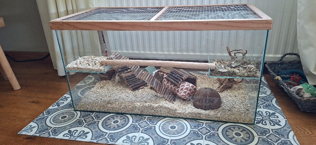 Hamster kooi voor hamster scaping, Dieren en Toebehoren, Knaagdieren en Konijnen | Hokken en Kooien, Kooi, Zo goed als nieuw, Muis