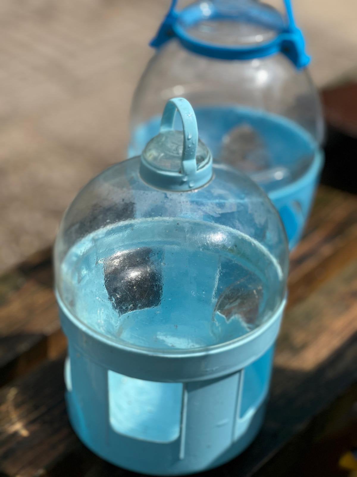 Waterbakjes duiven kippen pluimvee 1.5 liter, Ophalen of Verzenden, Drinken en Voederen