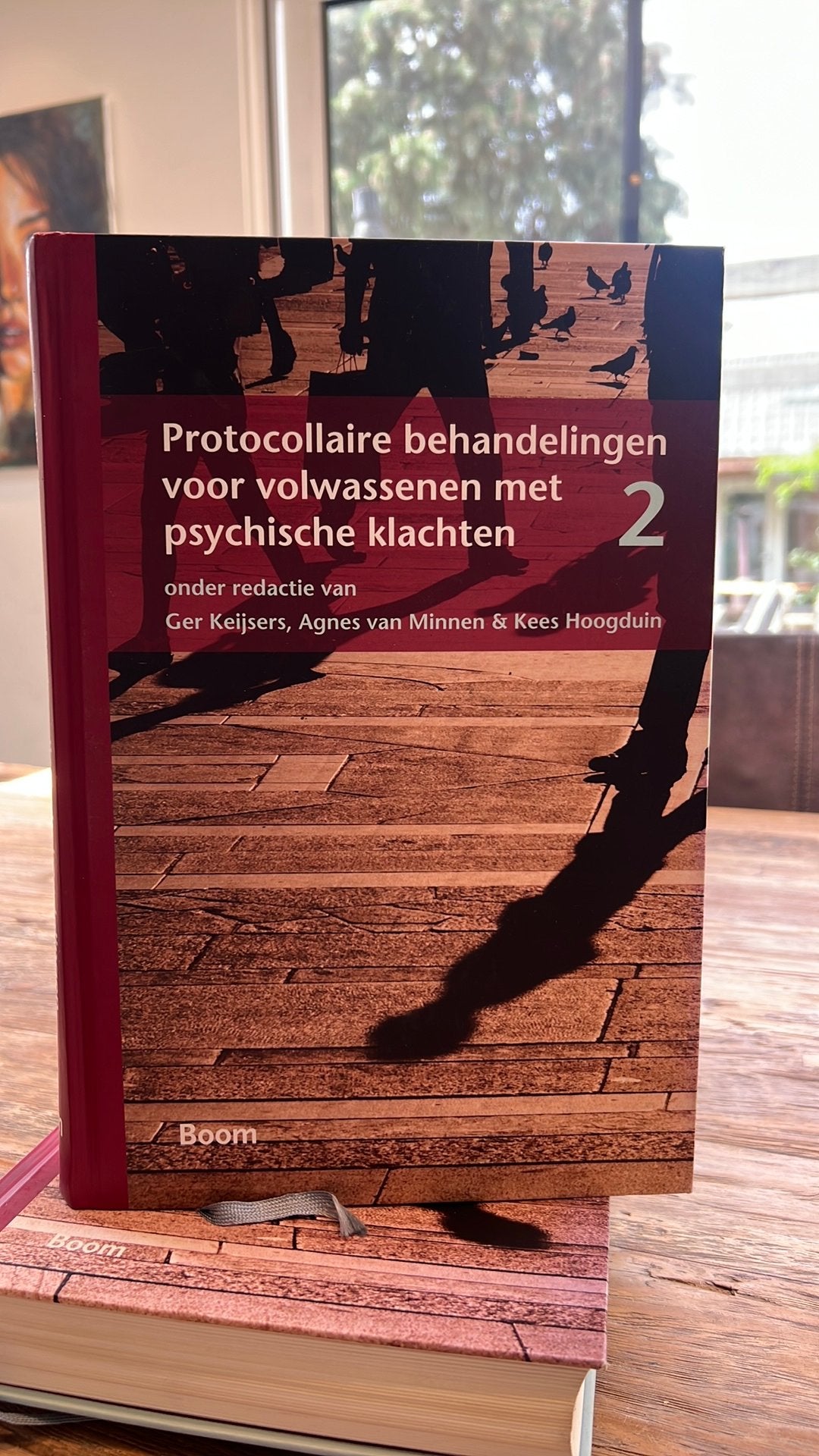Protocollaire behandelingen volw met psychische klachten 2, Ophalen of Verzenden