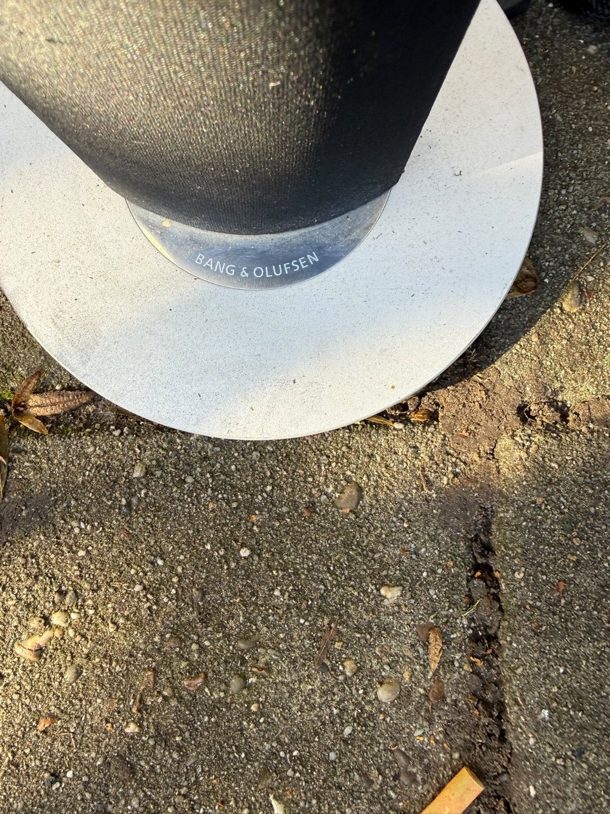 Bang & Olufsen BeoLab 6000 Vloerstaande Luidsprekers, Ophalen of Verzenden, Gebruikt, Vloerstaande luidspreker, Bang & Olufsen